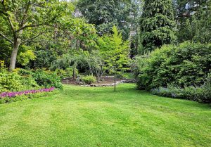 Optimiser l'expérience du jardin à Saint-Pierre-les-Bois